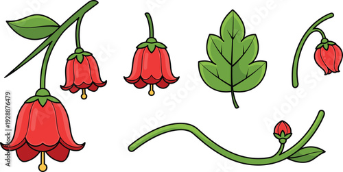 Red Bell Flower and Botanical Vector Illustration Set with Floral Branches Green Leaves Buds and Garden Nature Design Elements