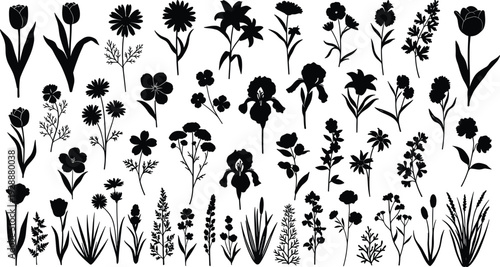 Flower and plant silhouette vector illustration collection, botanical artwork design, floral nature motif, decorative garden graphic pattern