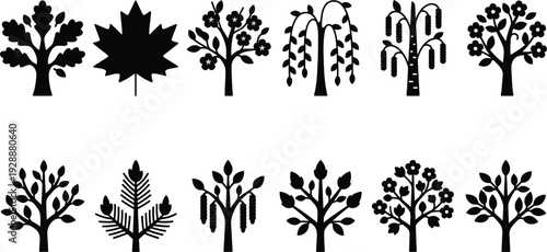 Collection of stylized trees and autumn maple leaf silhouettes on transparent background