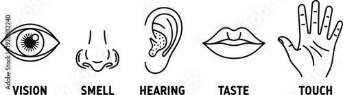 And line of five human senses vision smell hearing taste touch black and white line human senses