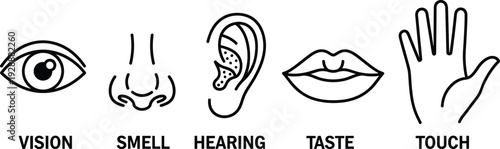 And of five senses vision smell hearing taste touch