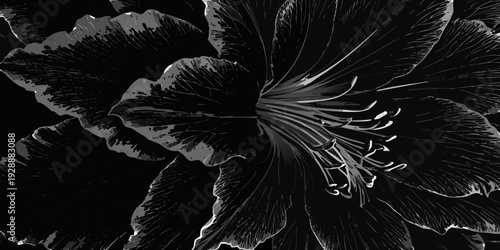 Dramatic black and white close up of a blossoming flower in detail
