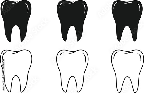 Set of six teeth showing healthy and decayed teeth side by side in and dental tooth decay healthy teeth