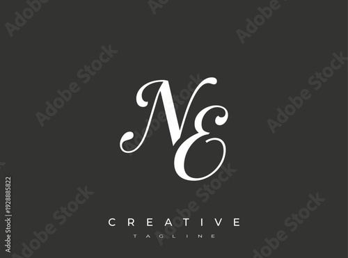 Elegant NE Monogram Logo for Creative Branding, Feminine Calligraphy, Luxury Script and Wedding Stationery Design