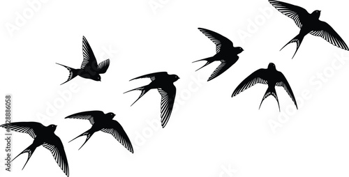 Black swallow silhouettes set featuring a flock of birds flying in various graceful poses isolated on white background for nature and wildlife designs