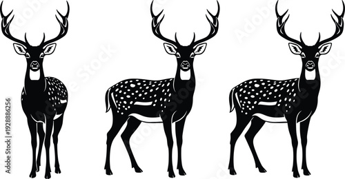Black and white deer silhouette vector collection featuring spotted buck with antlers in front and side views isolated on white background for design
