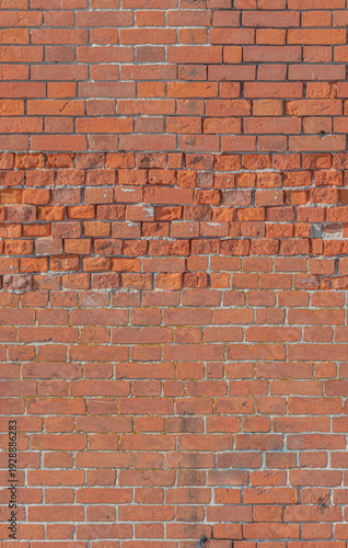 Wallpaper Mural Brick wall with varied textures and patterns in outdoor daylight Torontodigital.ca