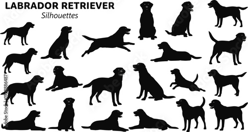 Black Labrador Retriever silhouettes collection featuring various poses like sitting standing running and jumping isolated on white background for dog lovers and pet design