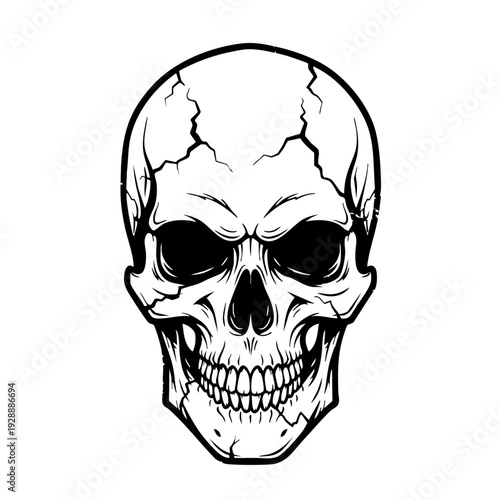 Black and white illustration of a human skull with cracked surface.