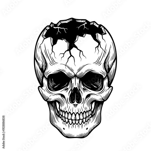 Cracked human skull with dark shadow on top.