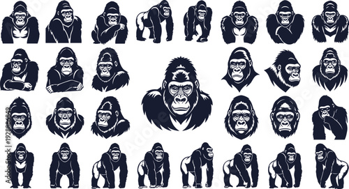 Black gorilla silhouettes set featuring powerful ape portraits and full body figures isolated on white background for wildlife and jungle nature design projects