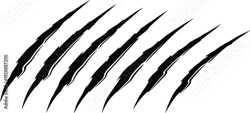 Stylized claw mark slashes arranged diagonally, sharp curved shapes, aggressive abstract vector illustration, symbolic strength and animal design concept