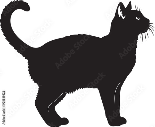 Set of black cats looking out of the corner. Collection of cat faces that spy on you. Playing pets. Tattoo.