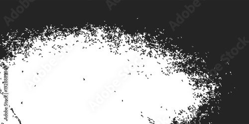 black and white background, texture of thousands of bats