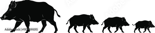 Wild boar family silhouettes in progressive size order, wildlife animal growth stages illustration, generational nature concept vector design