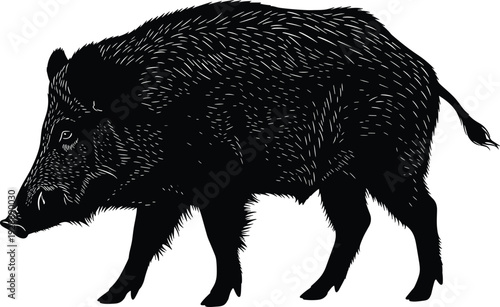 Wild boar silhouette illustration, detailed fur texture, tusks and snout, black and white vector art, wildlife design, decorative animal artwork
