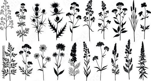 Wildflower silhouettes illustration, diverse plant designs, black and white vector art, decorative foliage, botanical elements, nature inspired artwork, modern floral collection