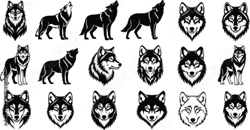 Wolf vector illustration, twenty silhouette artworks, howling and standing poses, stylized wildlife design collection, decorative animal clipart graphics