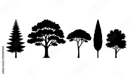 Minimal Black Tree Silhouette Vector Set Isolated on White Background