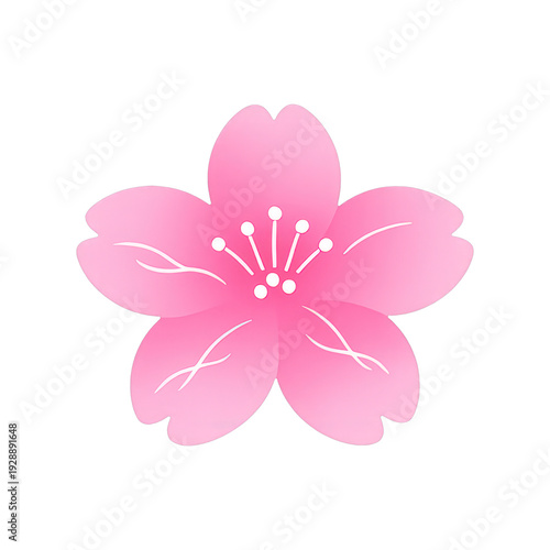 PNG Elegant pink cherry blossom illustration.