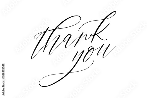 thank you - 手書き風の筆記体で書いたThank You（ありがとう）の文字（カリグラフィー）
