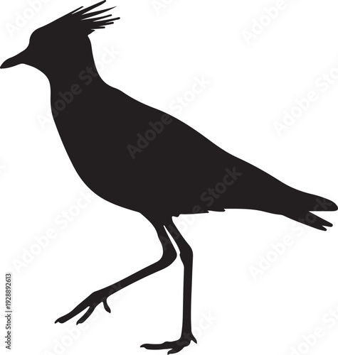 Black crowned lapwing in silhouette on white background.