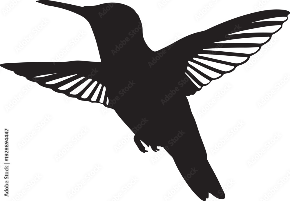 Obraz premium Crowned Woodnymph in silhouette