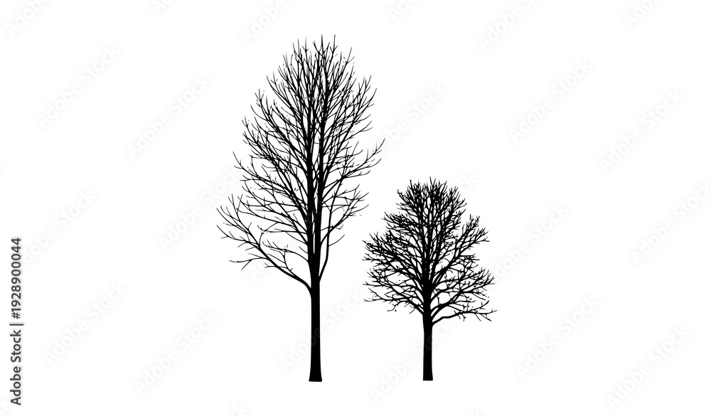 Fototapeta premium Vertical Pair of Bare Tree Silhouettes with Detailed Branches Vector Illustration