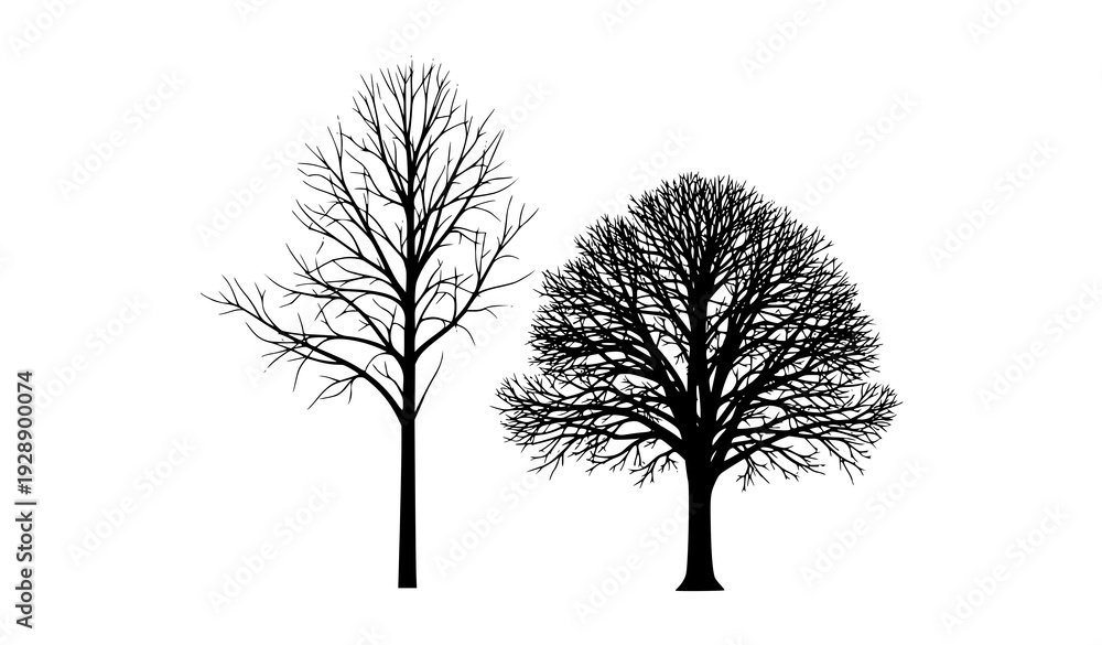 Obraz premium Two Bare Tree Silhouettes Minimal Black Vector Illustration Isolated on White
