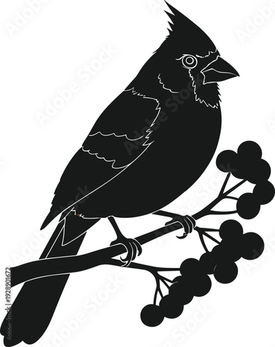 Vector illustration of stylized cardinal perched on branch with berries symbolizing wildlife, culture, tradition, and education