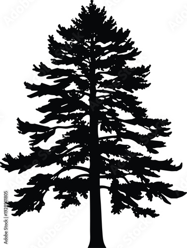 Vector illustration of stylized coniferous tree silhouette with tall trunk symbolizing nature, culture, tradition, forestry, and education