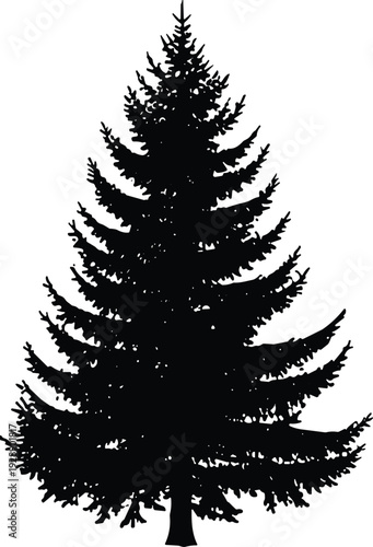 Vector illustration of stylized coniferous tree silhouette symbolizing nature, culture, tradition, forestry, and education