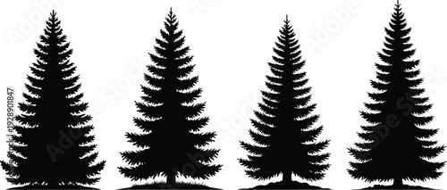 Vector illustration of stylized coniferous trees symbolizing nature, culture, tradition, forestry, community, conservation, and education