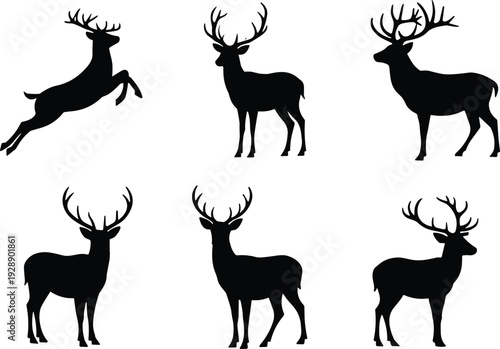 Vector illustration of stylized deer with antlers in leaping and standing poses symbolizing wildlife, culture, tradition, and education
