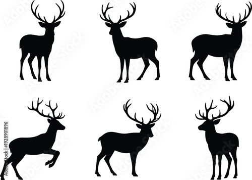 Vector illustration of stylized deer with antlers in standing, walking, and leaping poses symbolizing wildlife, culture, and education