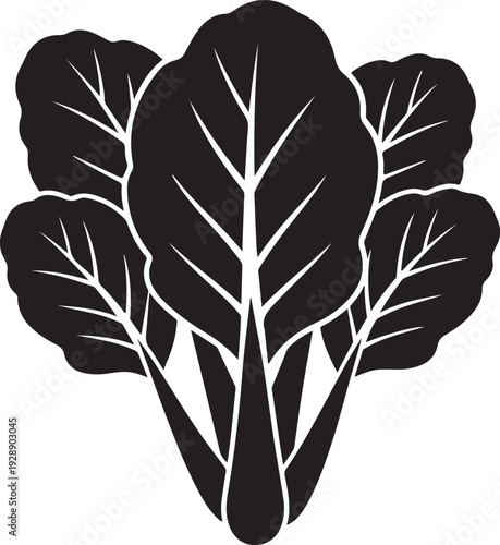 Spinach leaf silhouette isolated on transparent background illustrating healthy organic greens for vegan diet and fresh grocery market design