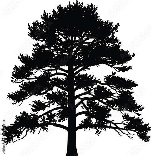   
Vector illustration of stylized tree silhouette with dense foliage symbolizing nature, culture, tradition, growth, and education