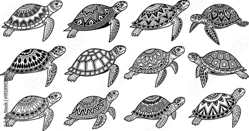 Vector illustration of stylized turtles with decorative shell patterns symbolizing marine wildlife, culture, tradition, and education