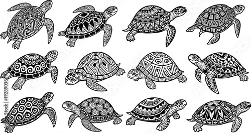 Vector illustration of stylized turtles with geometric shell patterns symbolizing marine wildlife, culture, tradition, and education