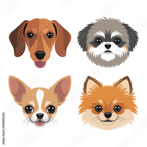 Small dog breeds vector set, dachshund, fluffy toy puppies, cute pet portrait icons for sticker, boutique branding, dog lover design