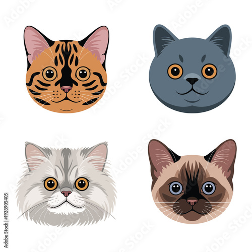 Realistic cat faces pack, bengal, british shorthair, persian, pet photoshoot event banner, grooming lesson session artwork, boutique marketing assets
