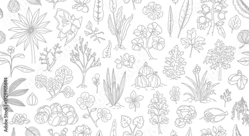 Line art pattern featuring diverse botanical elements, including flowers, leaves, and stems, arranged in an intricate, repetitive design.