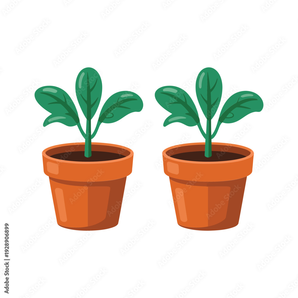 Fototapeta premium Two potted sprouts growing, home container gardening class, plant care event, watering schedule session, indoor herb starter kit vector