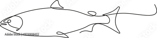 Continuous one line freshwater fish salmon, Roach, Perch, Carp and Crucian Carp Vector Illustration