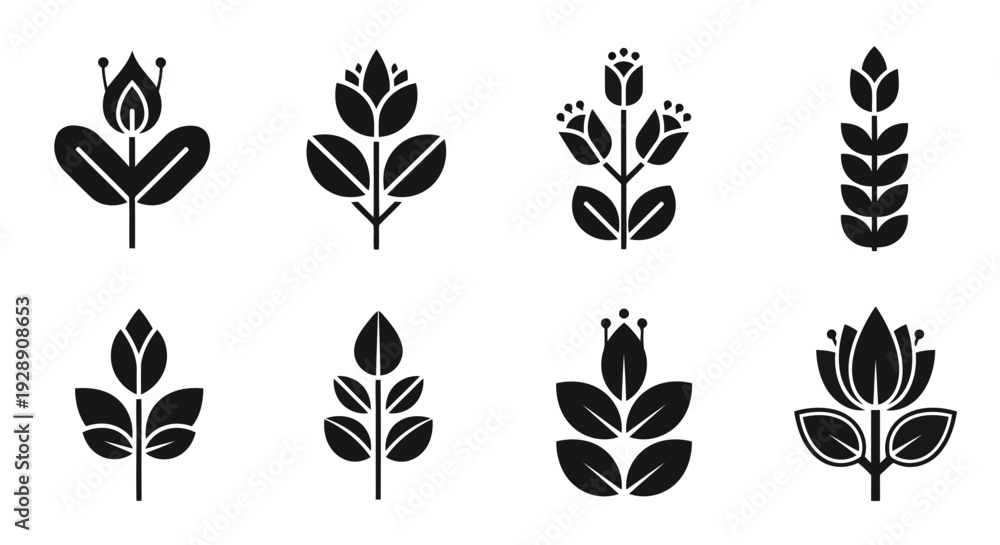 Fototapeta premium A collection of eight distinct black and white floral designs arranged in two rows