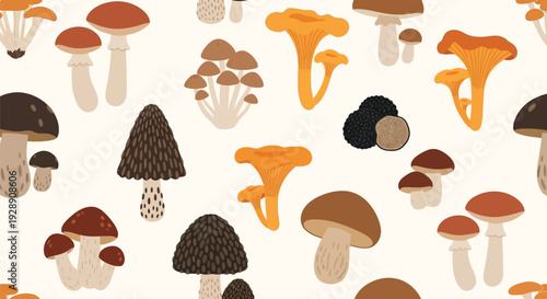 Illustrated pattern of various mushrooms like chanterelles, morels, and truffles on a light background. The tone is earthy and natural.