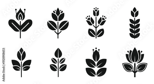 A collection of eight distinct black and white floral designs arranged in two rows