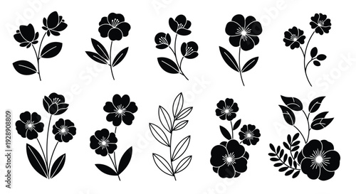 A collection of elegant black and white floral illustrations with various flower types