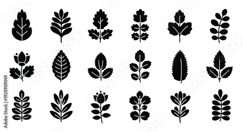 A collection of intricate and diverse black and white floral designs showcasing various plant motifs