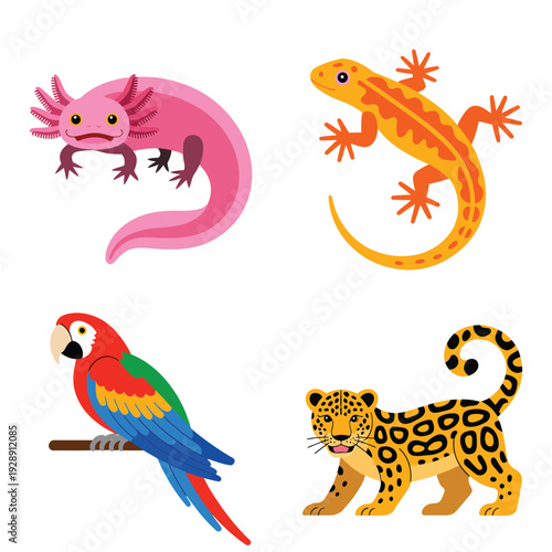 Latin America wildlife set with axolotl, orange salamander, tropical parrot and young jaguar, rainforest conservation poster, biodiversity education design